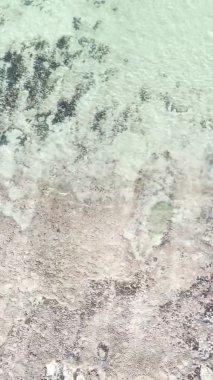 Tanzanya 'nın Zanzibar kıyısındaki okyanusta alçak gelgitin dikey videosu.