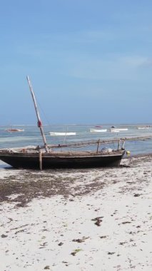 Tanzanya 'nın Zanzibar kıyısındaki okyanusta alçak gelgitin dikey videosu.
