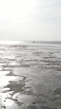 Tanzanya 'nın Zanzibar kıyısındaki okyanusta alçak gelgitin dikey videosu.