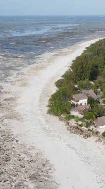 Tanzanya 'nın Zanzibar kıyısındaki okyanusta alçak gelgitin dikey videosu.