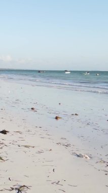 Tanzanya 'nın Zanzibar kıyısındaki okyanusta alçak gelgitin dikey videosu.
