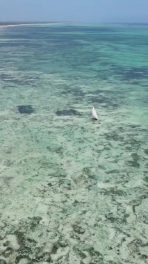 Tanzanya 'nın Zanzibar kıyısındaki okyanusta alçak gelgitin dikey videosu.