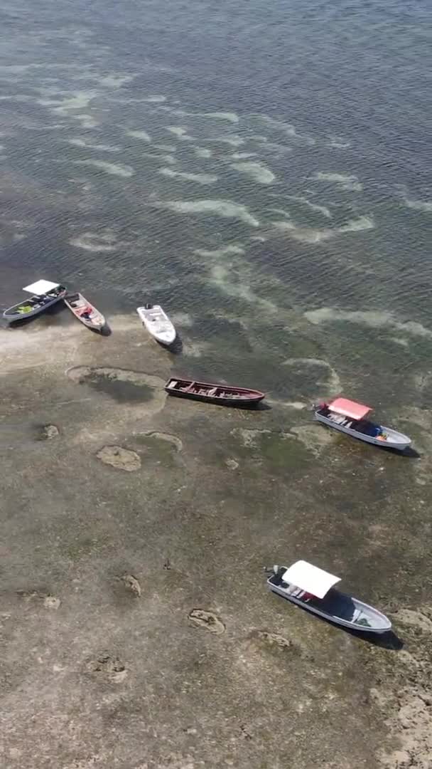Pystysuora video laskuveden meressä lähellä rannikkoa Zanzibar, Tansania, ilmakuva — kuvapankkivideo