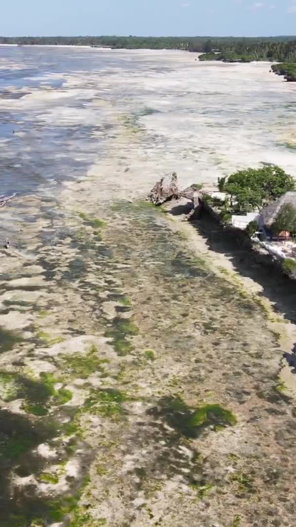 Κάθετη βίντεο της χαμηλής παλίρροιας στον ωκεανό κοντά στις ακτές της Ζανζιβάρης, Τανζανία, εναέρια άποψη — Αρχείο Βίντεο