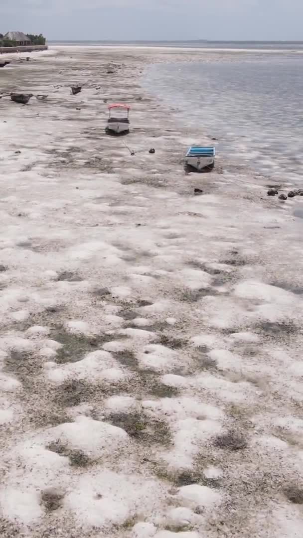 Vídeo vertical de la marea baja en el océano cerca de la costa de Zanzíbar, Tanzania, vista aérea — Vídeos de Stock