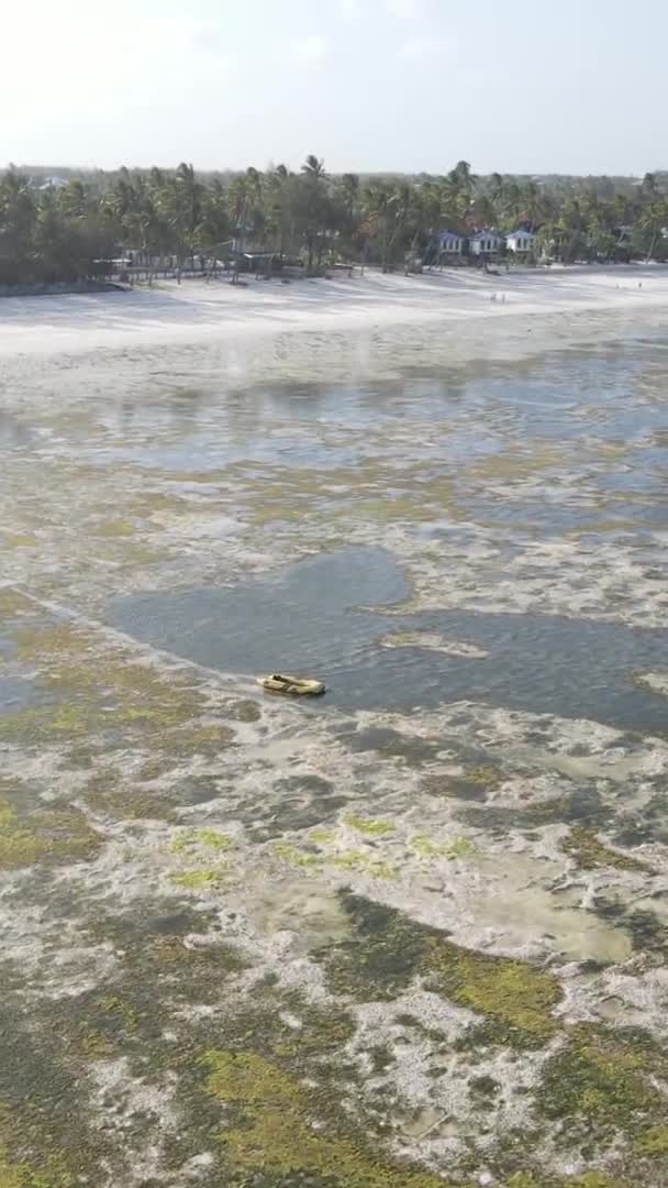 Vídeo vertical de la marea baja en el océano cerca de la costa de Zanzíbar, Tanzania, vista aérea — Vídeos de Stock