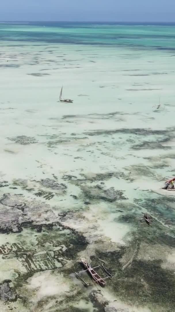 Vidéo verticale de marée basse dans l'océan près de la côte de Zanzibar, Tanzanie, vue aérienne — Video