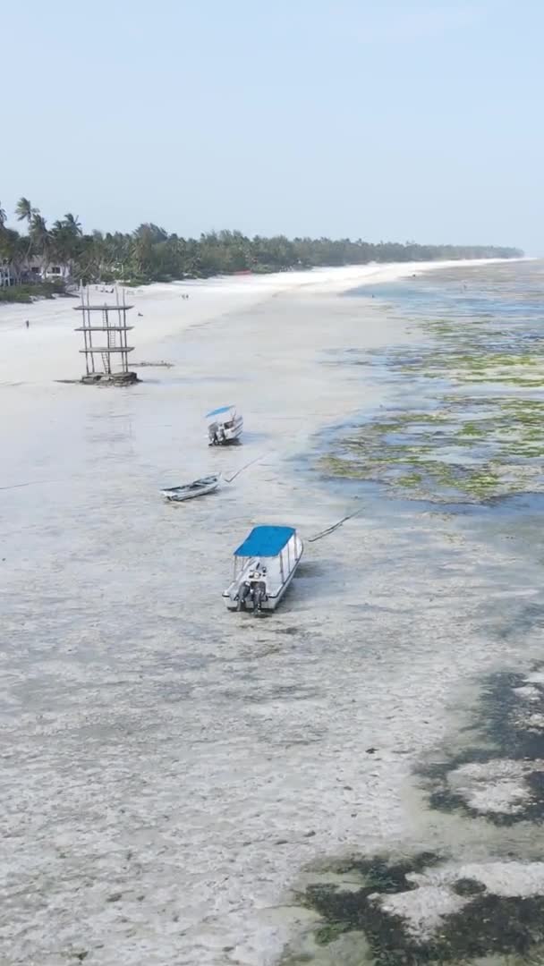 Függőleges videó apályról az óceán partjainál Zanzibár, Tanzánia, légi felvétel — Stock videók