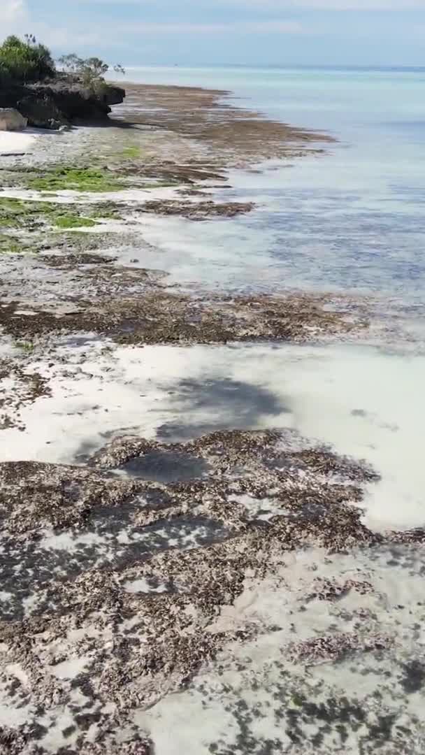 Vertical video of low tide in the ocean near the coast of Zanzibar, Tanzania, aerial view — Stock Video