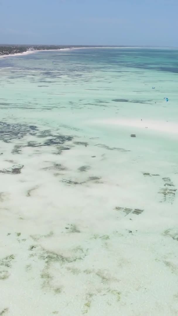 Вертикальное видео низкого прилива в океане у берегов Занзибара, Танзания, вид сверху — стоковое видео
