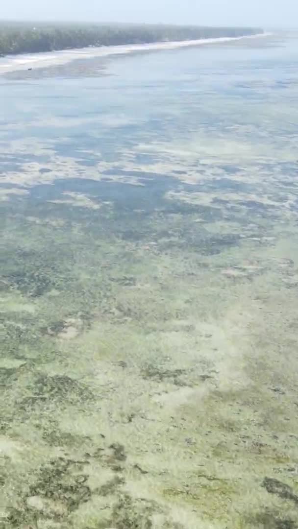 Vídeo vertical de la marea baja en el océano cerca de la costa de Zanzíbar, Tanzania, vista aérea — Vídeos de Stock