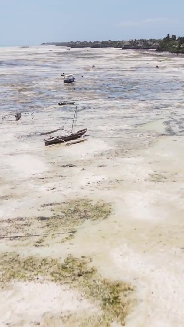 Vidéo verticale de marée basse dans l'océan près de la côte de Zanzibar, Tanzanie, vue aérienne — Video