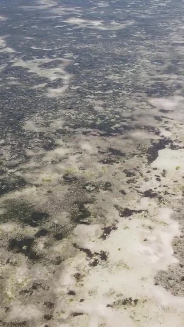 Vídeo vertical da maré baixa no oceano perto da costa de Zanzibar, na Tanzânia, vista aérea — Vídeo de Stock