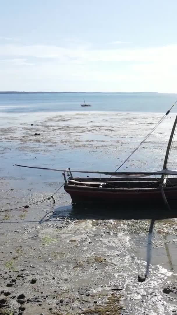 Vertikal video av lågvatten i havet nära kusten i Zanzibar, Tanzania, antenn vy — Stockvideo