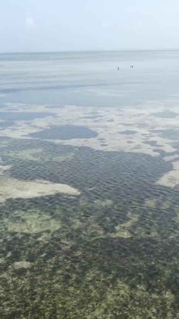 Vídeo vertical de la marea baja en el océano cerca de la costa de Zanzíbar, Tanzania, vista aérea — Vídeos de Stock