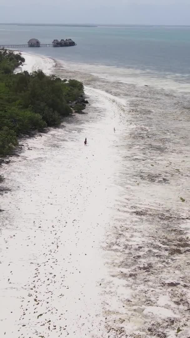 Vídeo vertical da maré baixa no oceano perto da costa de Zanzibar, na Tanzânia, vista aérea — Vídeo de Stock