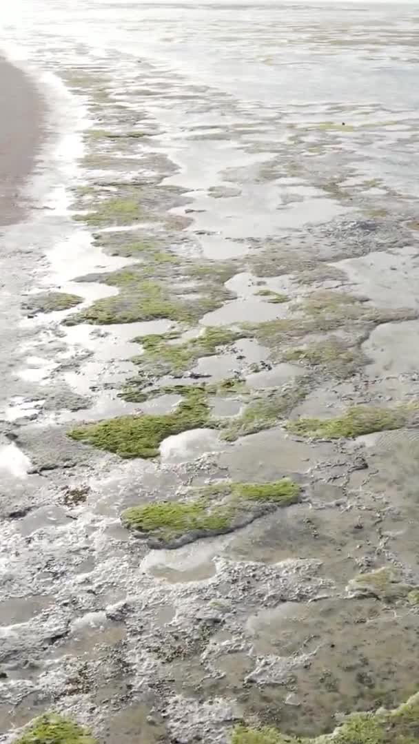 Verticale video van laagwater in de oceaan nabij de kust van Zanzibar, Tanzania, luchtfoto — Stockvideo