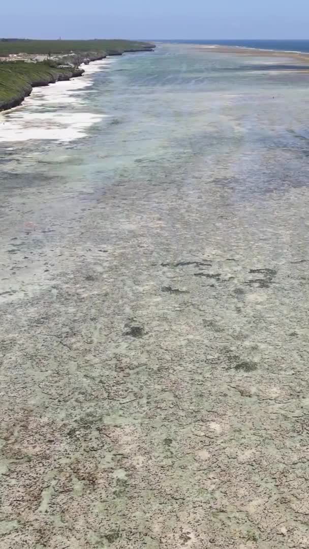 Vídeo vertical da maré baixa no oceano perto da costa de Zanzibar, na Tanzânia, vista aérea — Vídeo de Stock