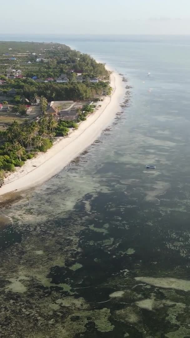 Verticale video van laagwater in de oceaan nabij de kust van Zanzibar, Tanzania, luchtfoto — Stockvideo