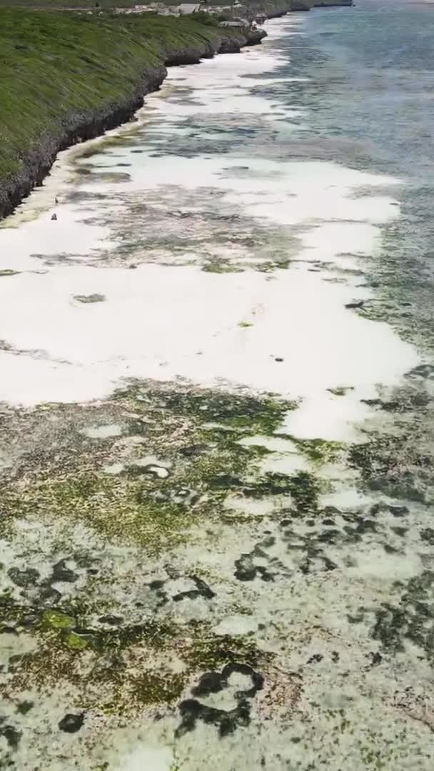 Vertical video of low tide in the ocean near the coast of Zanzibar, Tanzania, aerial view — Stock Video