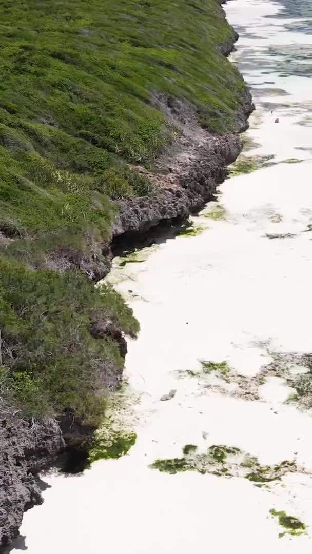 Vertical video of low tide in the ocean near the coast of Zanzibar, Tanzania, aerial view — Stock Video