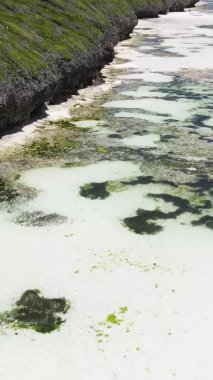Tanzanya 'nın Zanzibar kıyısındaki okyanusta alçak gelgitin dikey videosu.