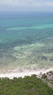 Tanzanya 'nın Zanzibar kıyısındaki okyanusta alçak gelgitin dikey videosu.