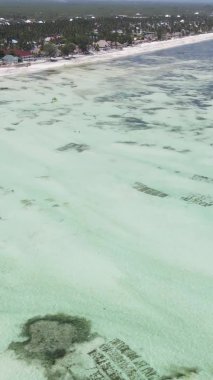 Tanzanya 'nın Zanzibar kıyısındaki okyanusta alçak gelgitin dikey videosu.