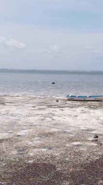 Tanzanya 'nın Zanzibar kıyısındaki okyanusta alçak gelgitin dikey videosu.