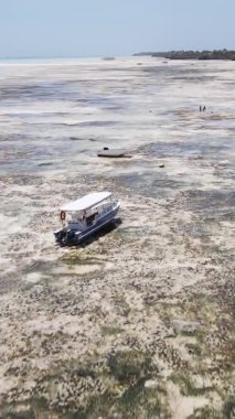 Tanzanya 'nın Zanzibar kıyısındaki okyanusta alçak gelgitin dikey videosu.