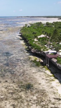 Tanzanya 'nın Zanzibar kıyısındaki okyanusta alçak gelgitin dikey videosu.