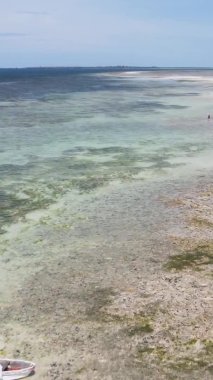 Tanzanya 'nın Zanzibar kıyısındaki okyanusta alçak gelgitin dikey videosu.