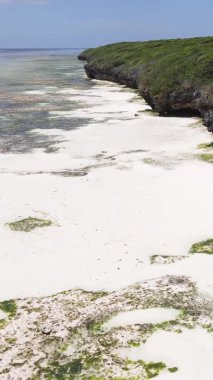 Tanzanya 'nın Zanzibar kıyısındaki okyanusta alçak gelgitin dikey videosu.