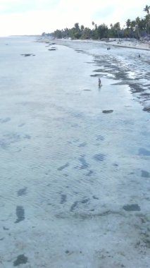 Tanzanya 'nın Zanzibar kıyısındaki okyanusta alçak gelgitin dikey videosu.