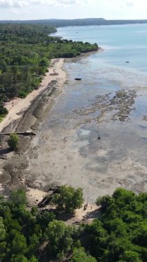 Tanzanya 'nın Zanzibar kıyısındaki okyanusta alçak gelgitin dikey videosu.