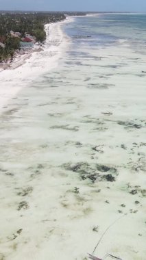Tanzanya 'nın Zanzibar kıyısındaki okyanusta alçak gelgitin dikey videosu.