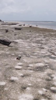 Tanzanya 'nın Zanzibar kıyısındaki okyanusta alçak gelgitin dikey videosu.