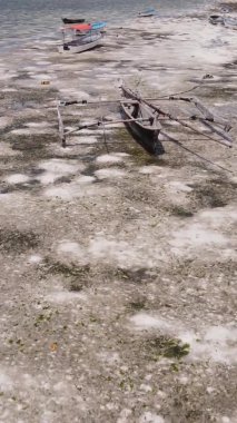 Tanzanya 'nın Zanzibar kıyısındaki okyanusta alçak gelgitin dikey videosu.