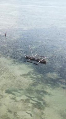 Tanzanya 'nın Zanzibar kıyısındaki okyanusta alçak gelgitin dikey videosu.