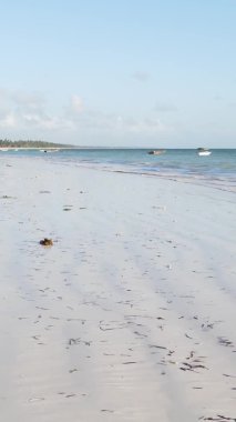 Tanzanya 'nın Zanzibar kıyısındaki okyanusta alçak gelgitin dikey videosu.