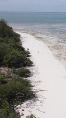 Tanzanya 'nın Zanzibar kıyısındaki okyanusta alçak gelgitin dikey videosu.