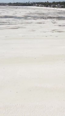 Tanzanya 'nın Zanzibar kıyısındaki okyanusta alçak gelgitin dikey videosu.