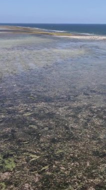 Tanzanya 'nın Zanzibar kıyısındaki okyanusta alçak gelgitin dikey videosu.