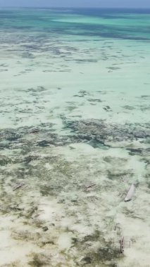 Tanzanya 'nın Zanzibar kıyısındaki okyanusta alçak gelgitin dikey videosu.