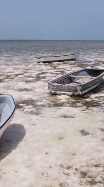 Tanzanya 'nın Zanzibar kıyısındaki okyanusta alçak gelgitin dikey videosu.