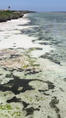 Tanzanya 'nın Zanzibar kıyısındaki okyanusta alçak gelgitin dikey videosu.