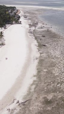Tanzanya 'nın Zanzibar kıyısındaki okyanusta alçak gelgitin dikey videosu.