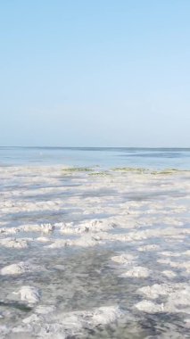 Tanzanya 'nın Zanzibar kıyısındaki okyanusta alçak gelgitin dikey videosu.