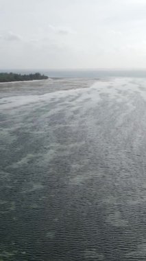 Tanzanya 'nın Zanzibar kıyısındaki okyanusta alçak gelgitin dikey videosu.