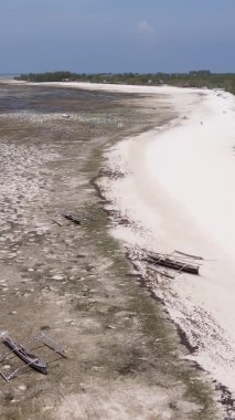 Tanzanya 'nın Zanzibar kıyısındaki okyanusta alçak gelgitin dikey videosu.